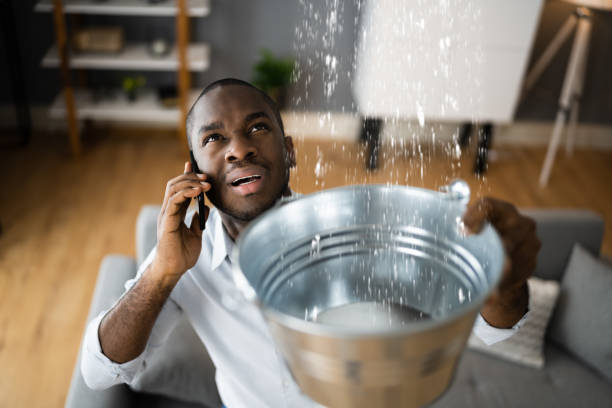 Best 24-hour water damage restoration  in USA